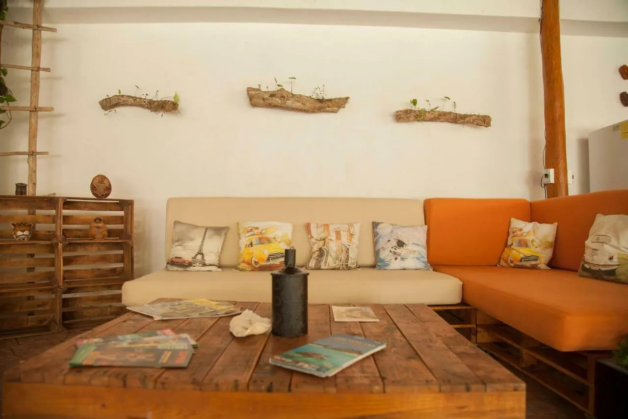 펜션 Beautiful Private Villa For 16 Pax With Garden, Bbq And Pool, 신데 델 카르멘 멕시코