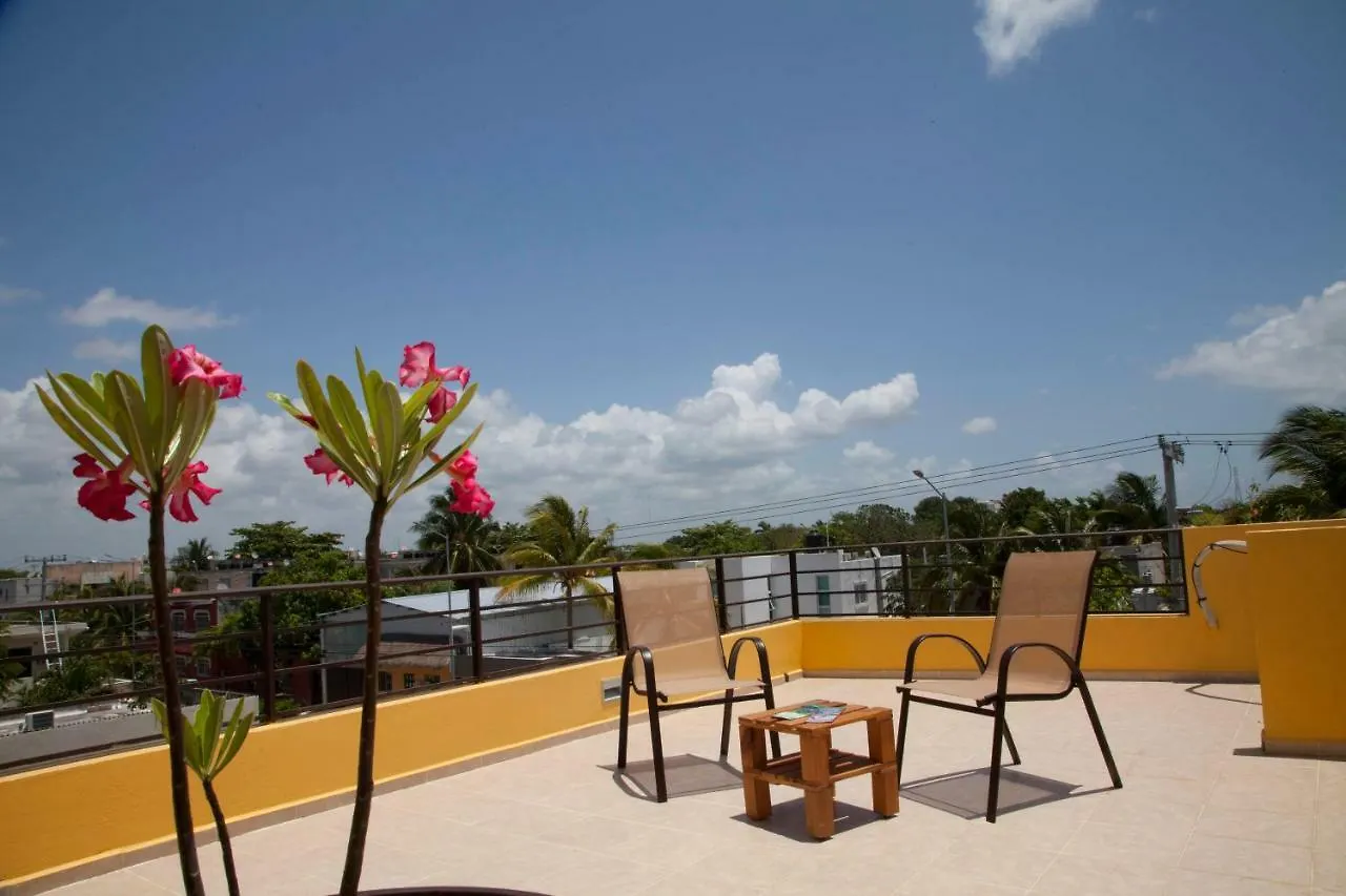 Beautiful Private Villa For 16 Pax With Garden, Bbq And Pool, Playa Del Carmen 0*,  Messico