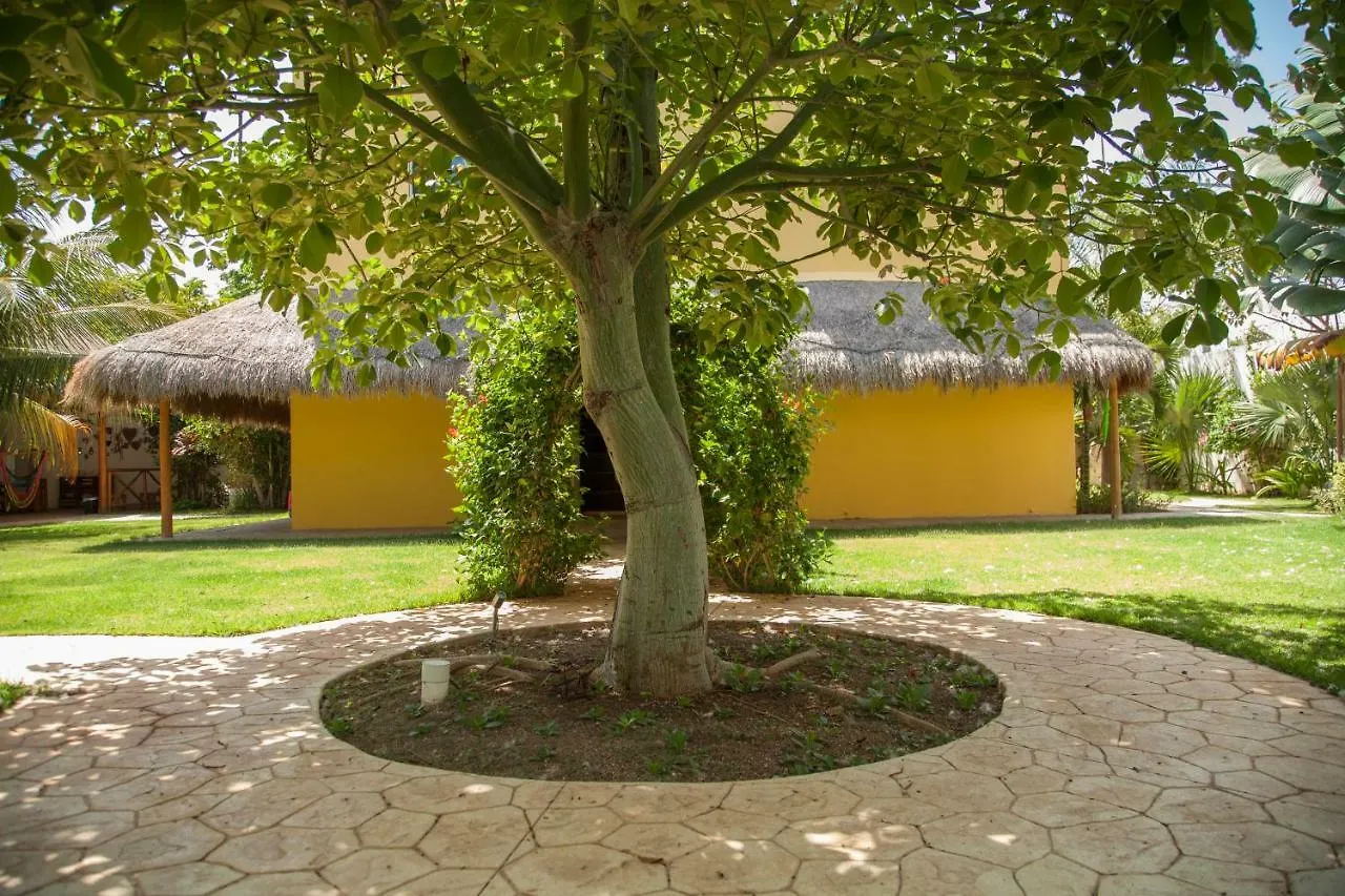 Casa vacanze Beautiful Private Villa For 16 Pax With Garden, Bbq And Pool, Playa Del Carmen